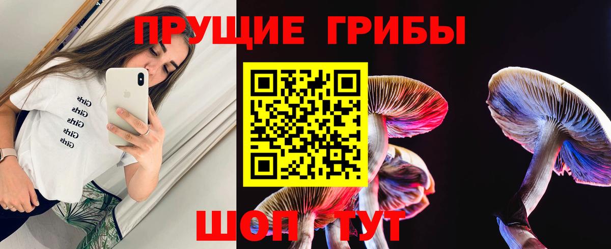 Ковров  Галлюциногенные грибы мухоморы  Вход с VPN  Галлюциногенные грибы Magic Shrooms 